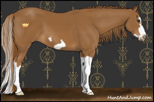 Horse Color:Chestnut Splash Frame