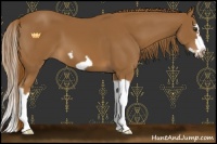Horse Color:Chestnut Splash Frame