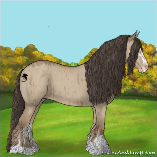 Horse Color:Classic Champagne Dun Sabino Brindle 