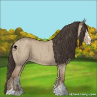 Horse Color:Classic Champagne Dun Sabino Brindle 