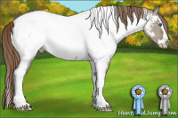 Horse Color:Gray Smoky Creme Roan Dun Splash Tobiano Near Fewspot Rabicano