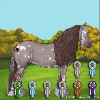 Horse Color:White Spotted Chocolate Grullo Chinchilla Sabino