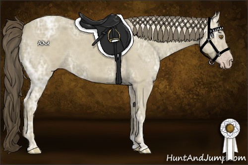 Horse Color:Classic Cream Champagne Ice 
