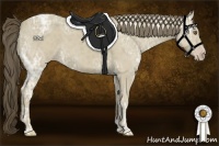 Horse Color:Classic Cream Champagne Ice 