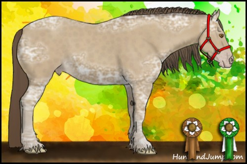 Horse Color:Classic Cream Champagne Ice 