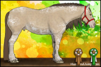 Horse Color:Classic Cream Champagne Ice 