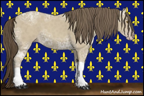 Horse Color:Classic Cream Champagne Ice 