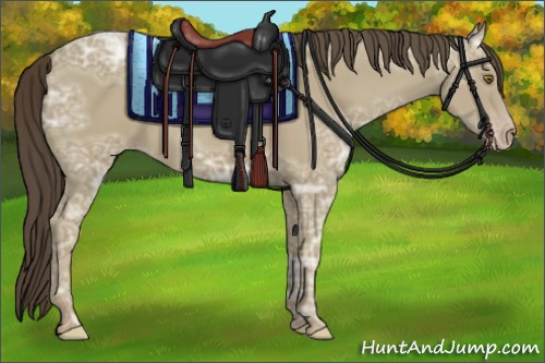 Horse Color:Classic Cream Champagne Ice 