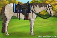 Horse Color:Classic Cream Champagne Ice 