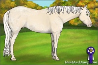 Horse Color:Silver Classic Cream Champagne Ice