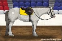 Horse Color:Classic Cream Champagne Ice 