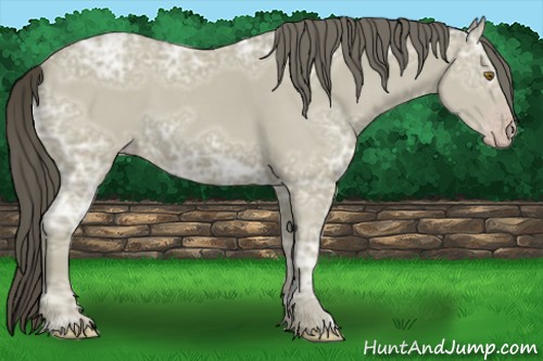 Horse Color:Classic Cream Champagne Ice 