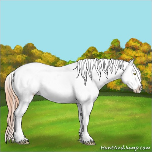 Horse Color:Amber Champagne Splash Tobiano Appaloosa  and Amber Champagne Dun Splash Tobiano Appaloosa 