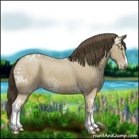Horse Color:Classic Cream Champagne Ice 