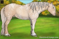 Horse Color:Silver Amber Champagne Ice