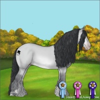 Horse Color:Sable Champagne Chinchilla Dun 