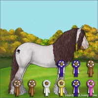 Horse Color:Chocolate Classic Champagne Chinchilla Dun 