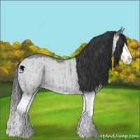 Horse Color:Classic Champagne Chinchilla Dun Splash Brindle 