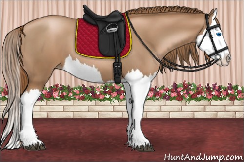Horse Color:Liver Chestnut Pearl Splash