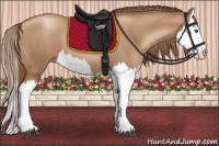 Horse Color:Liver Chestnut Pearl Splash 