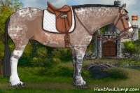 Horse Color:Bay Ice 