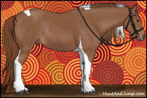 Horse Color:Chestnut Tobiano Rabicano