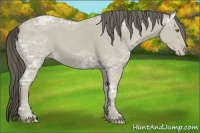 Horse Color:Classic Cream Champagne Ice