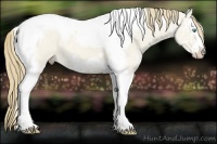 Horse Color:Smoky Creme Ice Dun Splash Tobiano Frame Rabicano