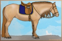 Horse Color:Bay Pearl 