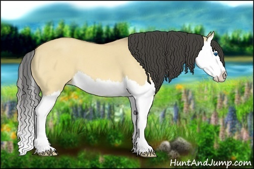 Horse Color:Buckskin Roan Dun Splash
