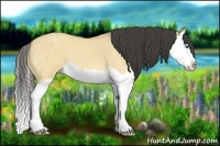 Horse Color:Buckskin Roan Dun Splash