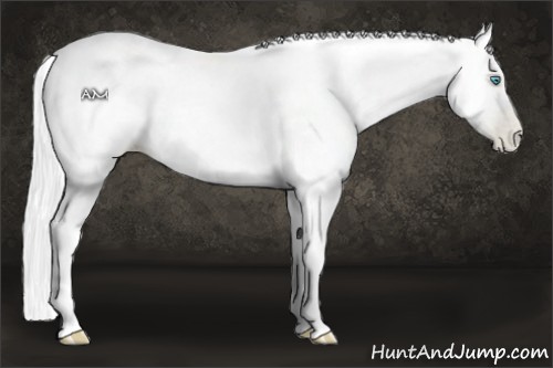 Horse Color:Silver Amber Cream Champagne Pearl 