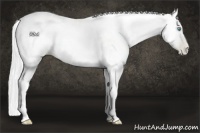 Horse Color:Silver Amber Cream Champagne Pearl 