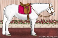 Horse Color:Silver Classic Cream Champagne Pearl 
