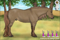 Horse Color:Gray Chocolate Palomino Roan Dun
