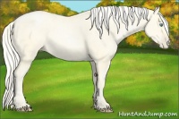 Horse Color:Palomino Pearl 