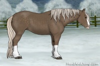 Horse Color:Silver Black Splash