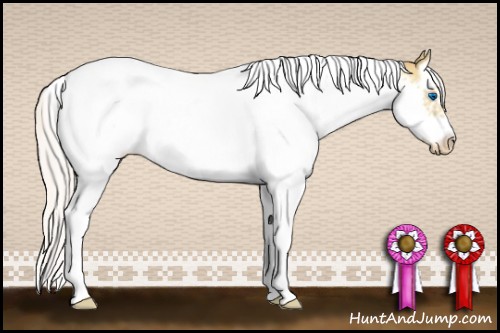 Horse Color:Silver Classic Champagne Dun Splash Tobiano Frame Blanket Rabicano