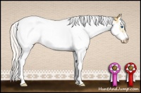 Horse Color:Silver Classic Champagne Dun Splash Tobiano Frame Appaloosa Rabicano