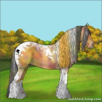 Horse Color:Nacre Bay Tobiano