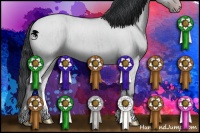 Horse Color:Classic Champagne Chinchilla Dun Sabino Brindle