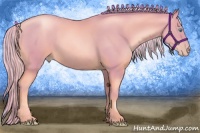 Horse Color:Watercolor Palomino Pearl 