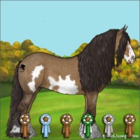 Horse Color:Liver Red Dun Frame Brindle