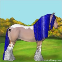 Horse Color:Painted Buckskin Dun Tobiano 