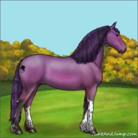 Horse Color:Painted Bay Dun Tobiano 