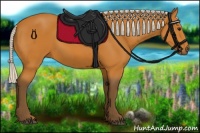 Horse Color:Silver Bay 