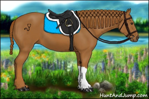Horse Color:Unknown 