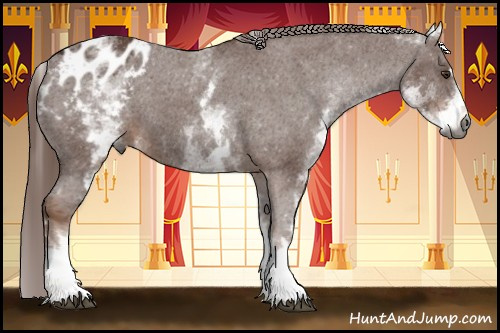Horse Color:Gray White Spotted Chestnut Sabino Varnish