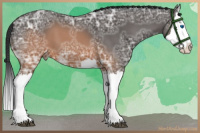 Horse Color:Brown Ice Splash