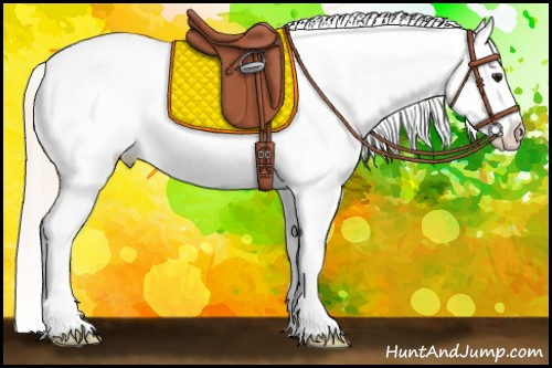 Horse Color:Silver Bay Ice Sabino Frame Appaloosa 